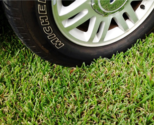 Image of vehicle parked on grass filled pervious pavers.