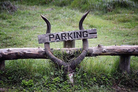 Grass Parking Can Hold Its Own