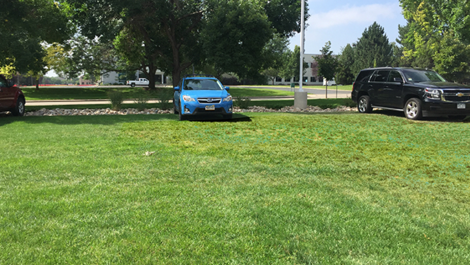 Grass parking area reinforced with a permeable grid system, showing the benefits of permeable pavement.