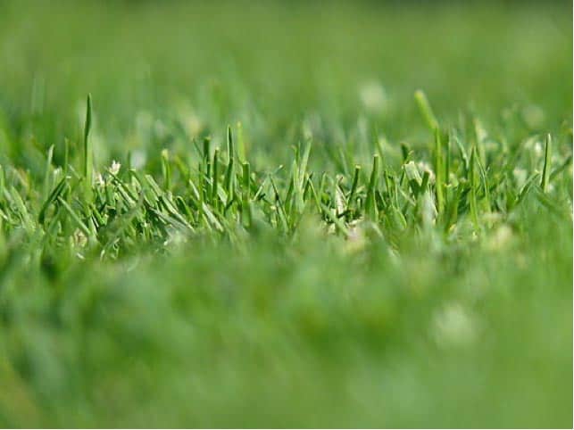 Top 10+ Placing a drivewaay on mud 1 What You Should Know About Grass Driveways