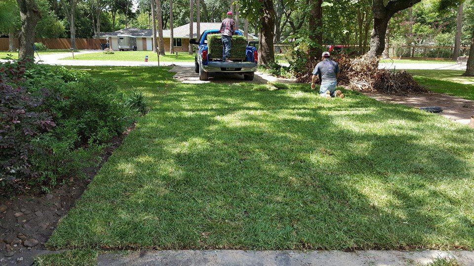 3 Ways to Build a Green Parking Lot - TRUEGRID Pavers