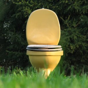 The Mythical Golden Toilet