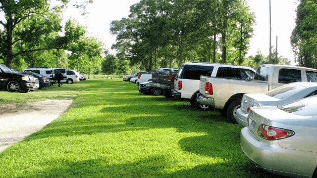 grass parking lot