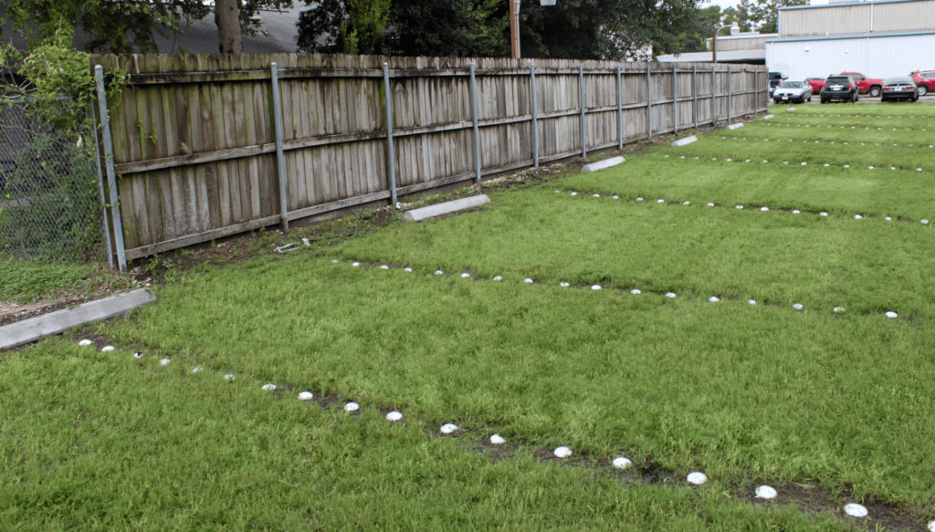 Trimming the Grass Pavers