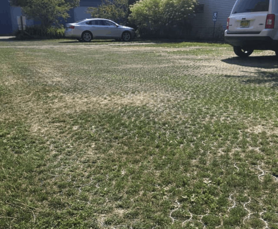 Permeable Pavers For The Parking On Grass