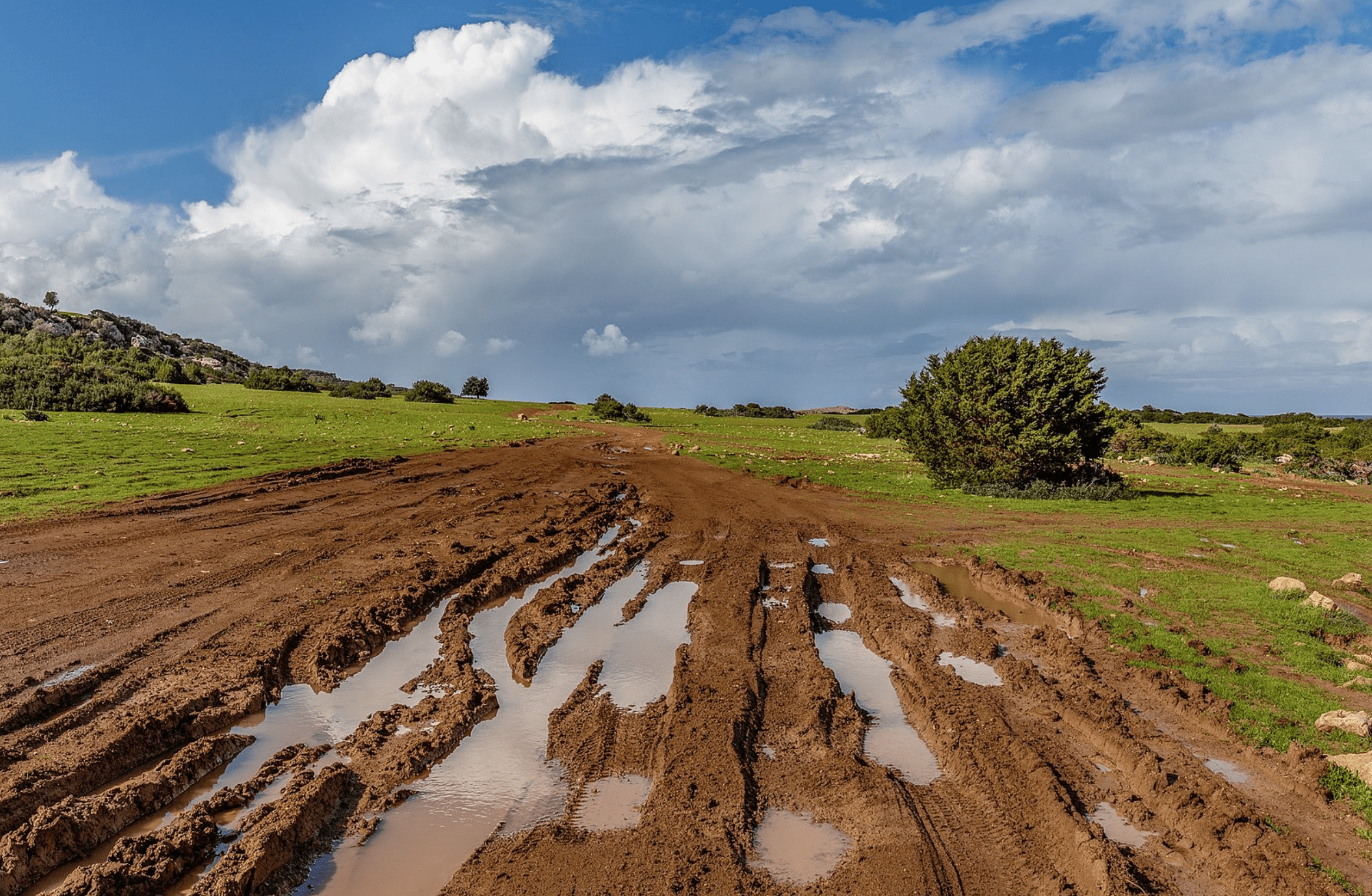 Muddy Ground Muddy Ground