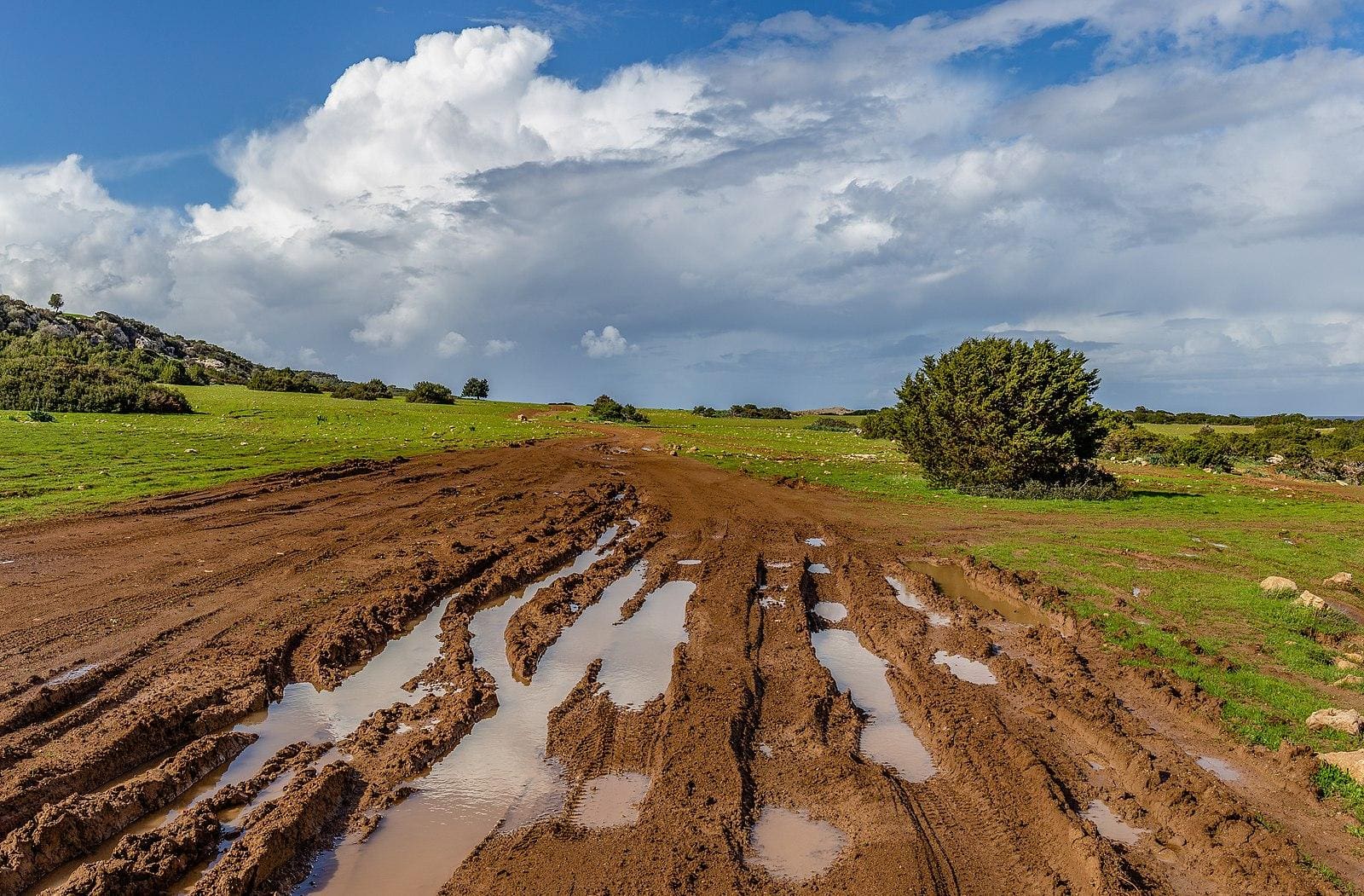 How to Harden Muddy Soil