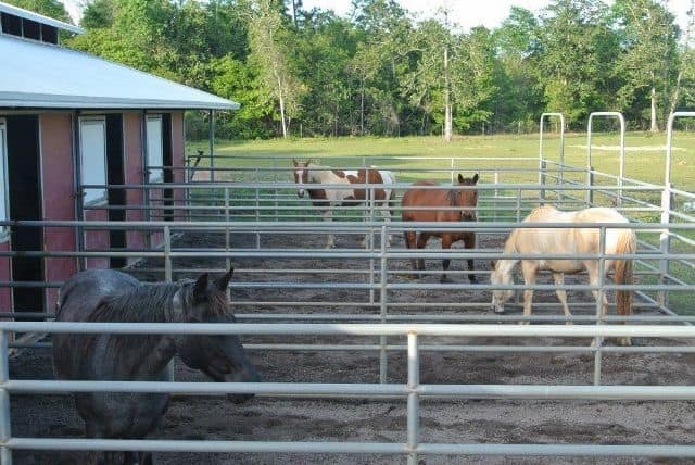 Interlocking Rubber Pavers for Horse Barns