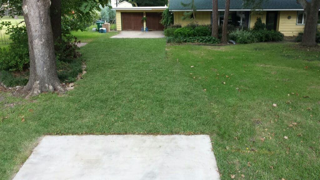 Grass Driveway