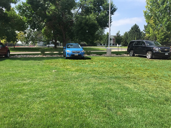 Using TRUEGRID Permeable Pavers to Control Stormwater Run-Off and Erosion