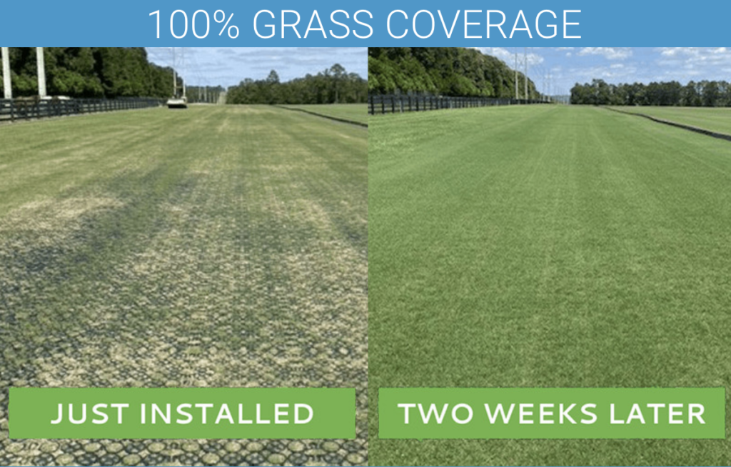 a comparison between when TRUEGRID® ROOT® is installed and two weeks after