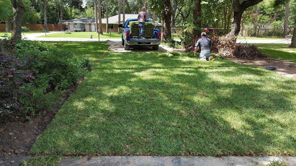 grass used with modern driveway pavers