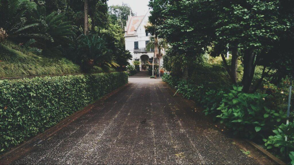 driveway made with modern driveway pavers