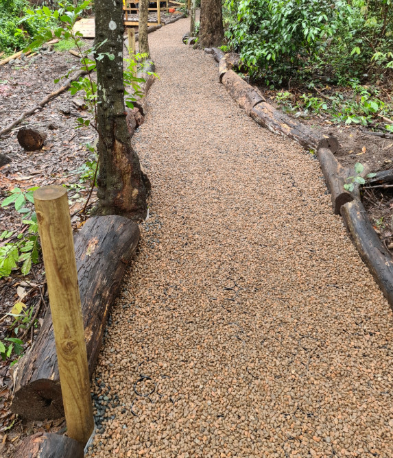 Garden path with plastic grid pavers 