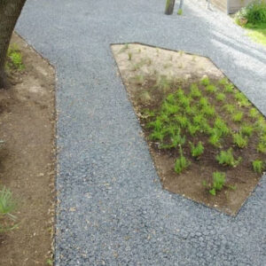 An image of garden path pavers outside of a house. 