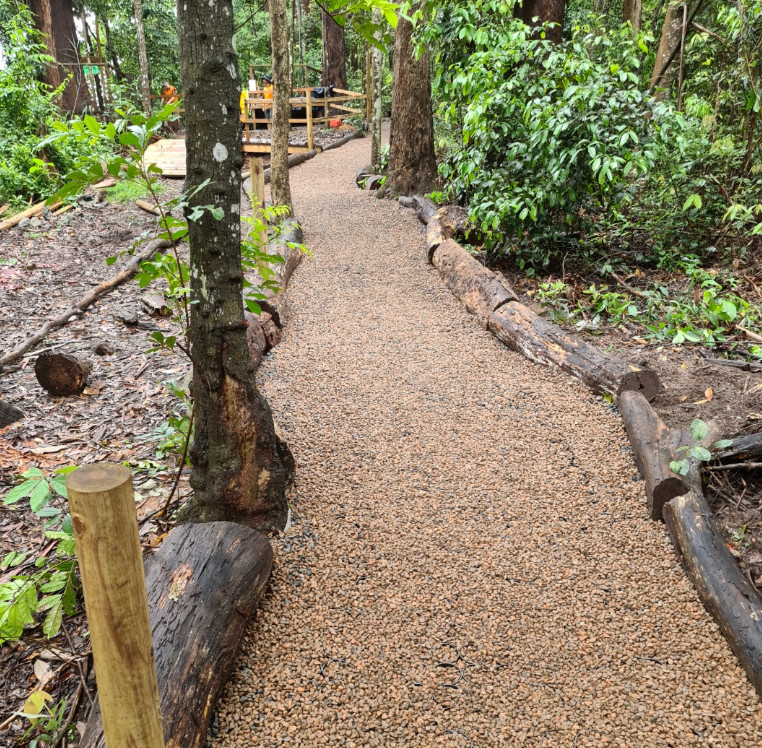 A garden path inside a forest. 