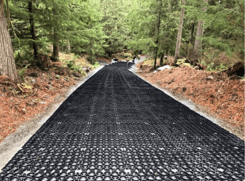 Permeable TrueGrid paver system installed on a forest driveway.