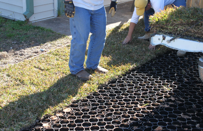 Workers installing grass filled grid panels as an inexpensive alternative to gravel driveways.
