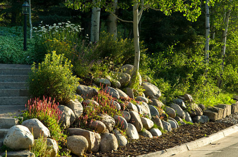 Landscaped rock slope with native plants designed for effective home stormwater management.